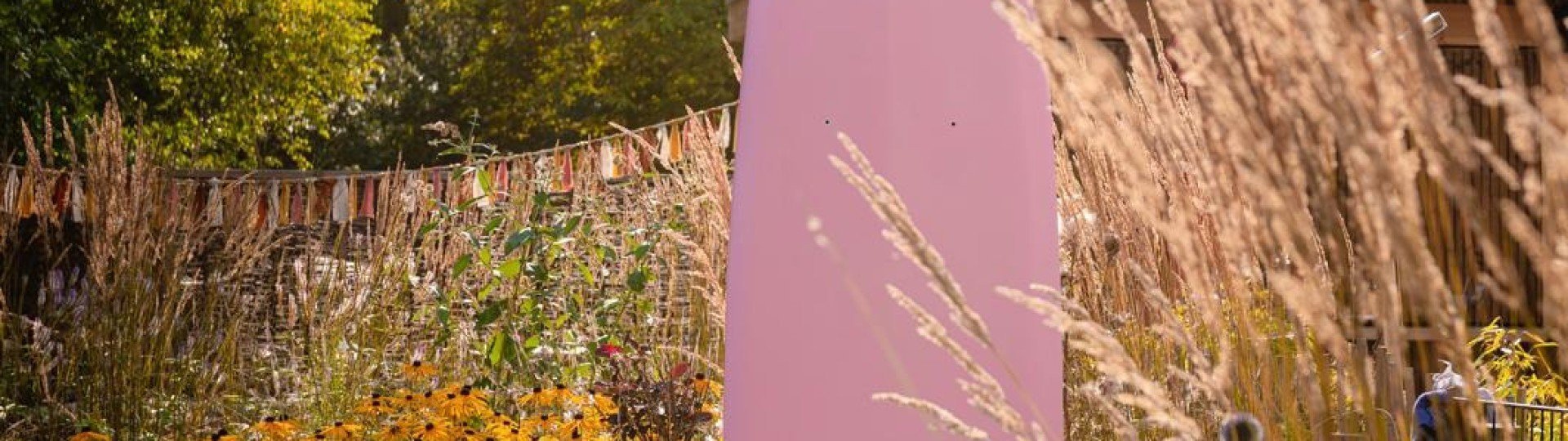 D15ce1c1 ae5a 46e5 9384 0be239398f53