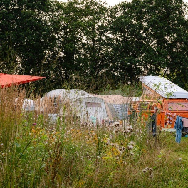 Ecfe1abe 57bf 4e96 869e 3f7286154ad0