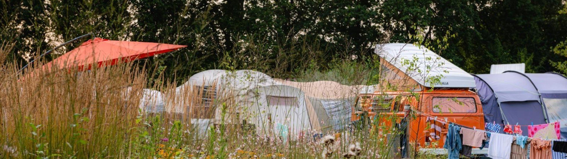 Ecfe1abe 57bf 4e96 869e 3f7286154ad0