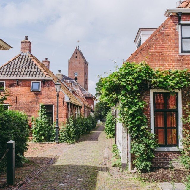 Garnwerd stella dekker fotografie 1 van 1 3 medium