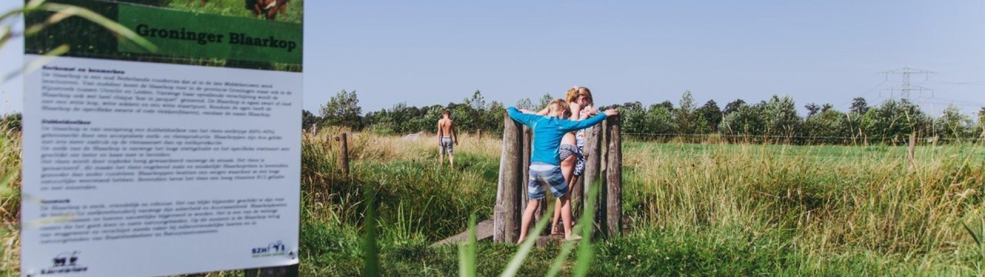 Img 1364 medium blaarkop