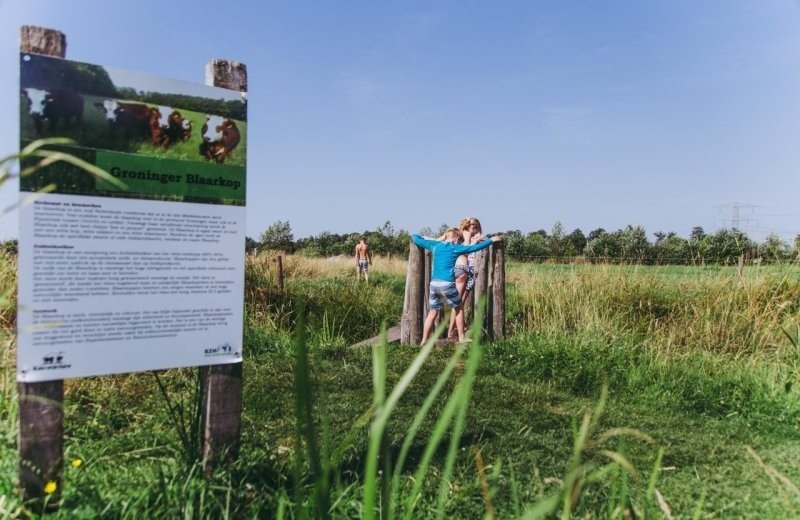Leuke activiteiten voor kinderen