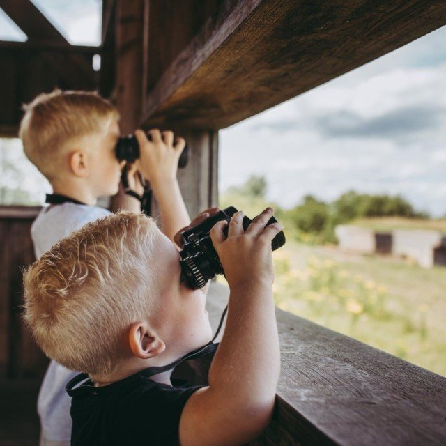 Kropswolderbuitenpolder vogelkijkhut stella dekker fotografie 4 medium
