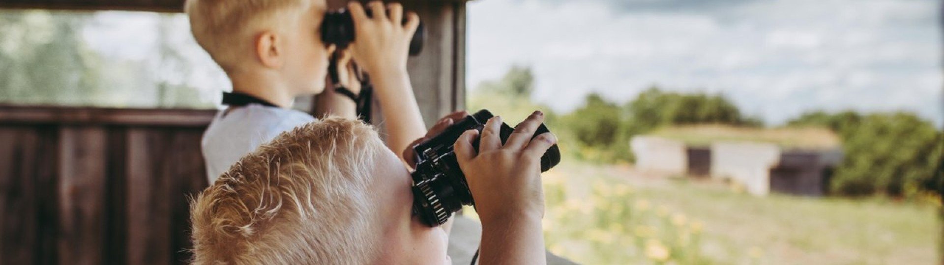 Kropswolderbuitenpolder vogelkijkhut stella dekker fotografie 4 medium