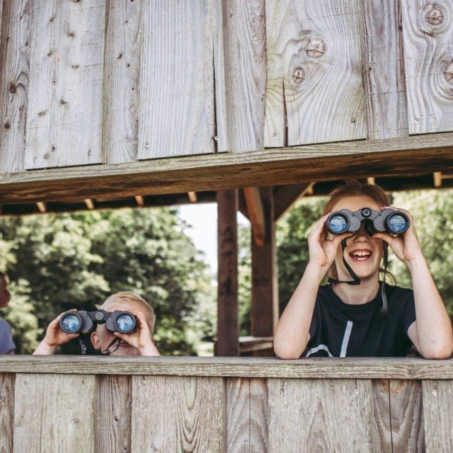 Kropswolderbuitenpolder vogelkijkhut stella dekker fotografie 5 medium